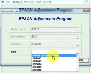 Epson L3110 Resetter